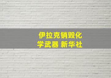 伊拉克销毁化学武器 新华社